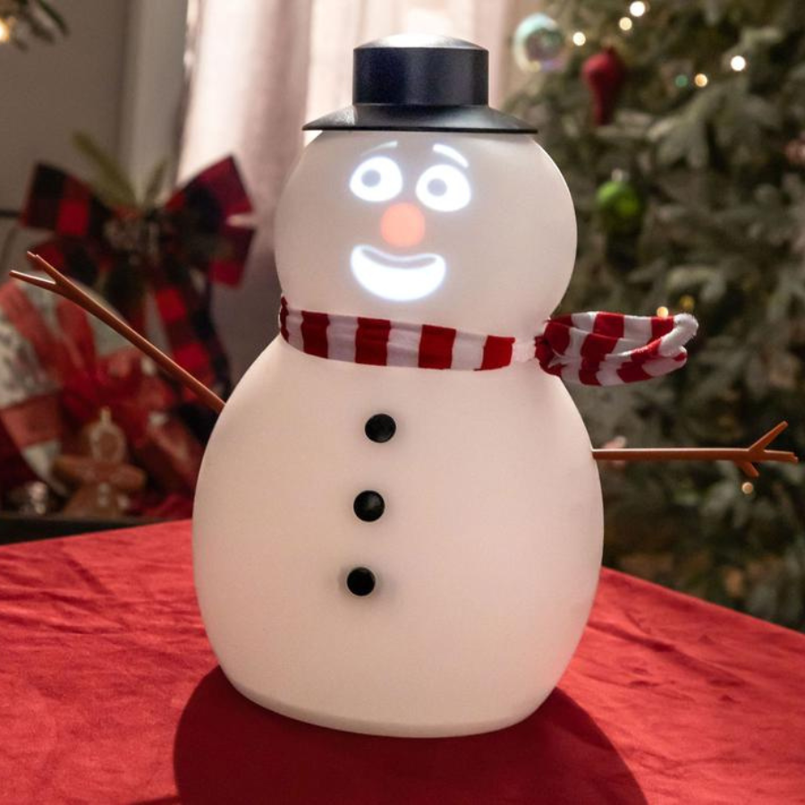 Frostbyte Animated Talking Snowman